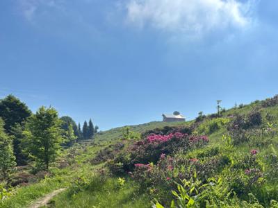 Solstizio d'estate in Valle Pesio - escursione a piedi